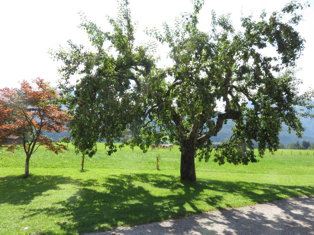 Ferienwohnungen Mooshaeusl Reit im Winkl Exterior photo